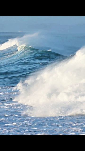 Купить участок у моря Балтики смотреть онлайн