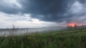 Артём Гельман - Фартовый