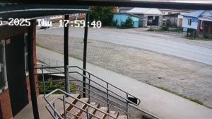 опасное вождение автомобиля чуть не сбил кошку