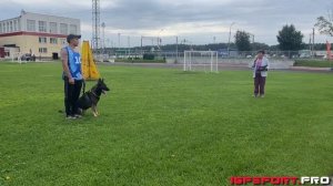 А. Номоконов и Ангел, IGP-1, C-86, Чемпионат НСО по IGP