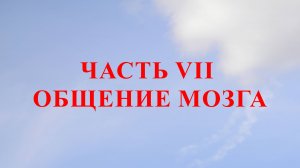 ЧАСТЬ VII ОБЩЕНИЕ МОЗГА