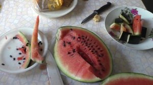 Убрали все арбузы в открытом грунте 17.08.25