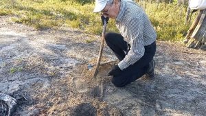 С внуком на природу 16.08.2025