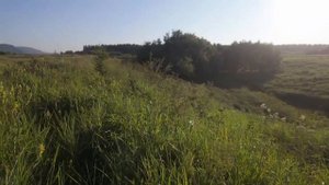 Тест камеры