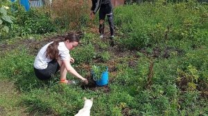 Дежавю.Дети работают в огороде..