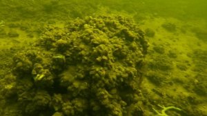 Река Ранова 2025