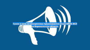 Гусев: в ночь на воскресенье продолжается атака БПЛА ВСУ на Воронежскую область