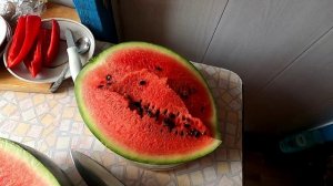 Второй арбузик Сибирские Огни 15.08.25