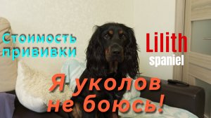 Стоимость прививки для собак в 2025 году