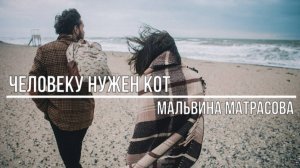 Человеку нужен кот