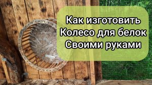 Как изготовить беговое колесо для белок своими руками