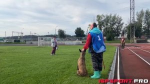 Н. Фесик и Fast Flok Iegharza, IGP-3, С-70, Чемпионат НСО по IGP