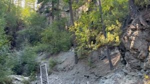 И СГОРЕВШАЯ КВАРТИРА, И ВОДОПАД И ГРИБЫ😂✊