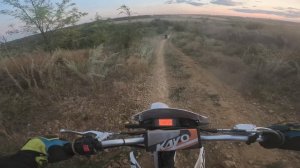 637992197 kayo t2 300