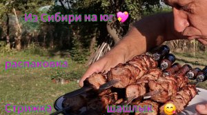 Переезд из Сибири на юг/Купили дом на юге/Стрижка/Забор/ Шашлыки/