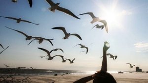 Звуки природы без музыки слушать. Природа. Море. Шум моря и крики чаек