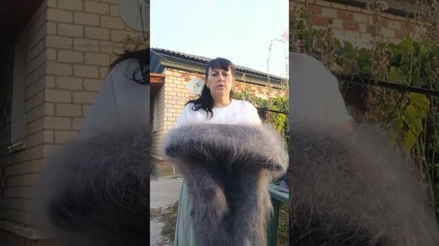 1000188053.mp4 Пуховые изделия у Ольги из Волгоградской области.т.89020931602 смотреть онлайн