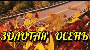 ЗОЛОТАЯ ОСЕНЬ ... ))