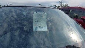 = Авторынок Зелёнка Цены 17.08.2025 г =