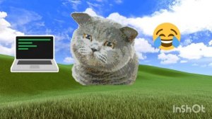 Добро пожаловать на мой канал!