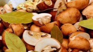 Грибочки по-венесуэльски