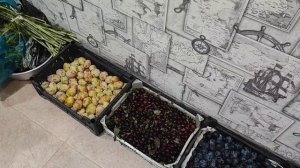 НАМ НЕ СИДИТСЯ НА МЕСТЕ/ ОЧЕНЬ АКТИВНОЕ ЛЕТО