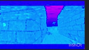 Chicken Gun 2.8.0.6.mp4