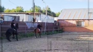 Галоп на Мане