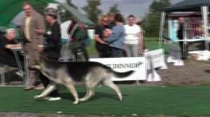 Демираль Ураган