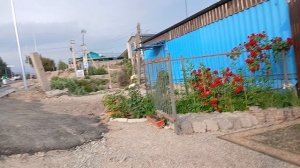 Чолпон-Ата Иссык-куль, жилье внизу города гуляем по центральному парку, достопримечательности города