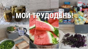 Мой трудодень! Маринуем огурчики и правильно храним зеленые помидоры!