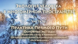 Владимир Антонов. Экопсихология. Часть 16