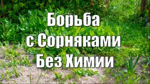 Борьба с Сорняками Без Химии