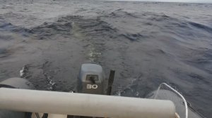 Онежское озеро волна