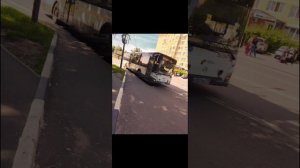 Транспорт Мострансавто
От телеграмм канала Медвежьи Берлоги