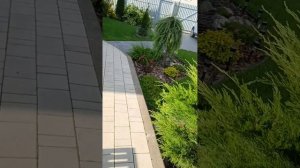 ПРОДОЛЖЕНИЕ МОЯ РИАЛЬНАЯ ЖИЗНЬ ПОКАЗАЛА ДОМ?