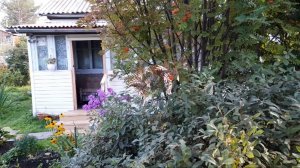 20250817_083814_001 Утреннее блаженство!