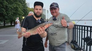 Как поймать пеленгаса на Дону. Мастер класс от профессионала! Игорь Бычков