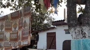 ТРЕНИРОВКА по МЕТАНИЮ НОЖА в ДЕРЕВО!