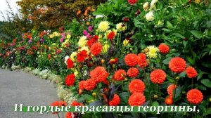 ПОДАРКИ УХОДЯЩЕГО ЛЕТА