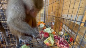 Анфиса начинает потихоньку кушать фрукты, уже и салат, и киви попадает в цепкие ручки малышки)))