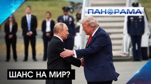 Переговоры на Аляске: встреча Владимира Путина и Дональда Трампа откроет дорогу к миру?