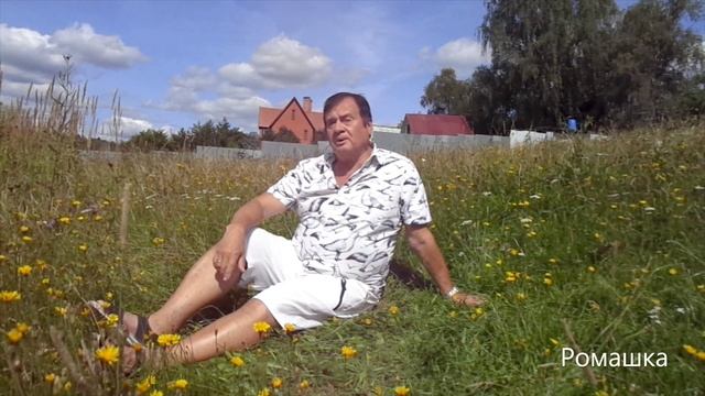 РОМАШКА