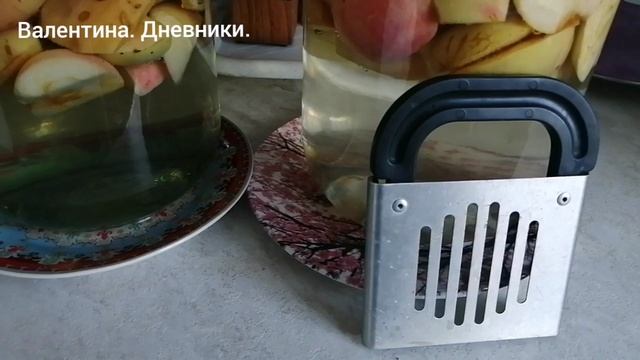 15.08.2025 Эпизоды моего дня. Сезон заготовок продолжается
