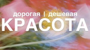 КРАСОТА： Дорогая и Дешевая