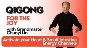 YT01-14 Осваиваем технику Дыхание Вселенной. Chunyi Lin - Spring Forest Qigong