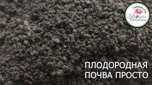 ПРОСТОЙ СПОСОБ ПОВЫСИТЬ ПЛОДОРОДИЕ ПОЧВЫ НА УЧАСТКЕ