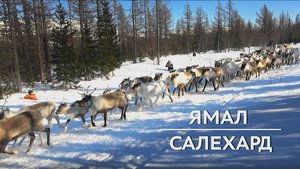 Ямал | Салехард | Полярный Урал
