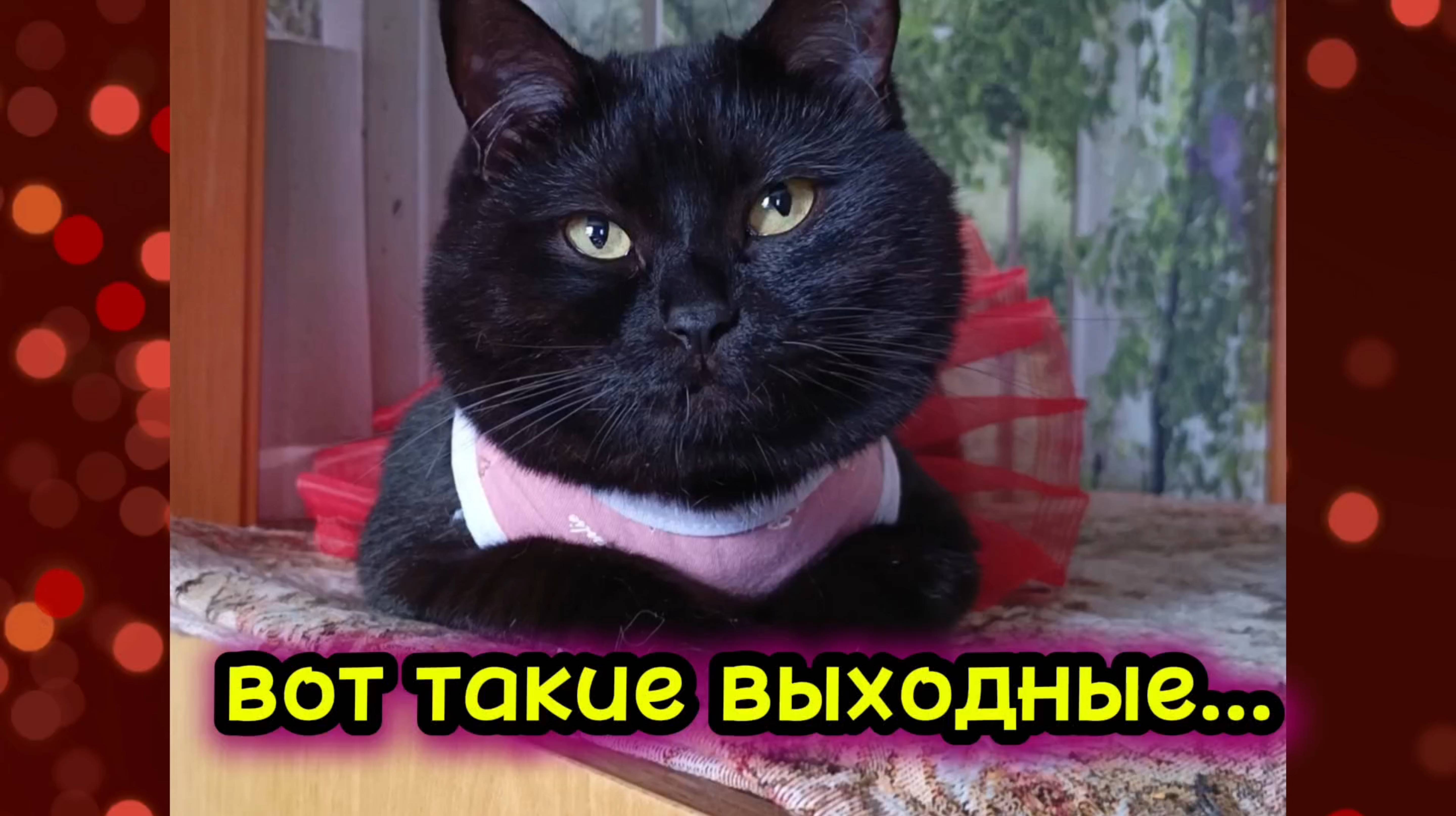 Вот такие выходные...