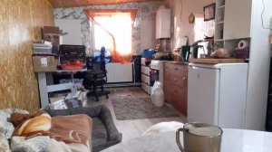 Жизнь в Деревне, Мой дом снаружи готов , Дом для Тимы тоже готов , Разобралась с помидорами .